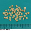 농업기술센터중부지구지소 | 노르웨이령 스발바르 국제종자저장고에 토종 종자 4,000자원 기탁