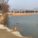 선명기계공구 이미지