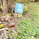 속풀콩나물해장국 이미지