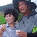 블루베리 민