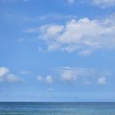 참피온양념치킨 | 삼척 닭강정 맛집 참피온양념치킨 참피온닭강정, 완전 기대 이상의 맛