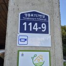 여항-1 | 영흥도 펜션 점석이네집 후기: 편안한 숙소와 실내 바베큐 경험