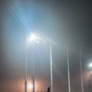 장흥생활체육공원 야구장 이미지