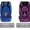 라디안아이 이미지