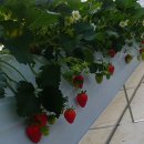 장천경로당 이미지