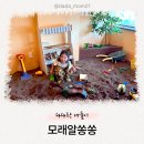 모래알쏭쏭