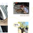 나이스당구장 | 여기 들어올 때까지 파라파라나 춰야지