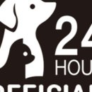 잘나가는 강아지 이미지