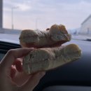 애니카랜드정발산점 이미지