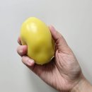 대한문구도매센터 - 의정부시 경의로 117 | 크런치 슬랑이 SNS핫템 내돈내산 구매 후기ㅣ땅콩 슬랑이,변색 망고 크런치 의정부 파는곳