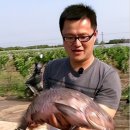 무석 농장 이미지