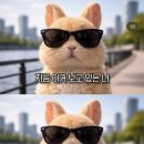 25시김밥 | 26년 3월 냐암의 일상 몰아보기_1탄