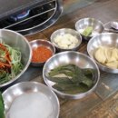 돈주는빠식이 이미지