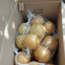 배미자농장 이미지