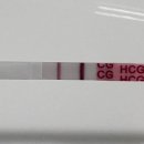에프엠3차 이미지