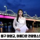 대구 동구 아양교 아름다운 경관명소 탈바꿈 경북도민방송TV 이미지