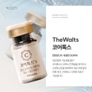 더왈츠 이미지