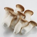 비나이더 사우점 이미지