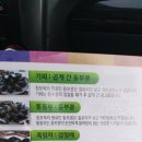 영광백수떡집