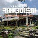 정촌면-7 | 진주 정촌카페 강주연못뷰가 예쁜 카페더파드마 방문후기 feat. 수국포토존