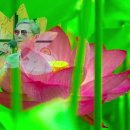 순리대로 - 정신나간 희망인가 이미지