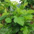 견우농장 이미지