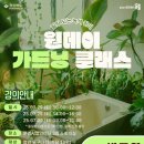 [10/29]가드닝 클래스 이미지