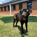 내서읍442 이미지