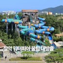설악파크 | 속초 워터파크 한화리조트 설악 워터피아 후기 입장권 가격 할인
