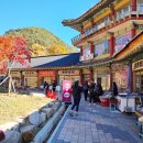 해인사쇼핑센터 이미지