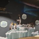 피카소어린이집 | 실내 먹이주기 체험과 놀이터까지 [아쿠아플라넷] 후기/할인/주차/머메이드쇼/수중발레쇼/놀거리/공연...