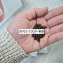 부산 해운대센텀 다이어트 한의원 방문 후기, 일주일 만에 2kg 감량 성공