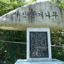 골바위농장 이미지