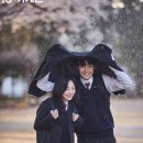 첫사랑 이미지