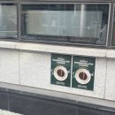 플랜티(plenty) | DMC 상암동 두쫀쿠 플랜티커피 KBS 미디어센터 방문후기