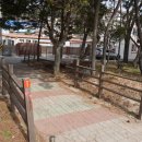 산타루치아펜션민박 이미지