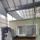 군위어린이집 | 아기랑 딸기체험 군위 세이베리딸기농원 방문 후기!