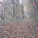 일봉목장 이미지