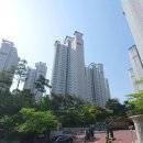 숲속마을2단지 정류장 네이버블로그