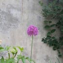 북일농장 이미지