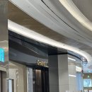 크러쉬 짐 | 부쉐론 웨딩밴드 콰트로 클래식(feat.샤넬 코코크러쉬, 불가리 반지)