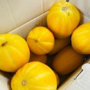 아르보르펜션 이미지