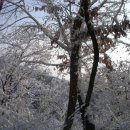 구산제 티스토리