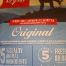 우리집강아지 | 땡블리펫 그레인프리사료 급여해보니 우리집 강아지 반응 솔직 후기