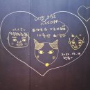 투독플레이스 이미지