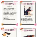 해피데이지