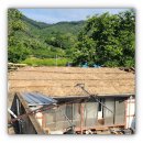용마루정비 | 모충동 지붕 개량공사 시공 후기 및 현장