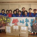 사랑찐빵