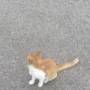 통근뷔페 | 나는 오래된 거리처럼 너를 사랑하고 벌들은 귓속의 별들처럼 웅성거리고