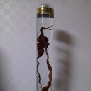 백제골1 이미지